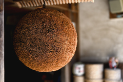 造り酒屋の杉玉