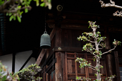 寺院の釣鐘
