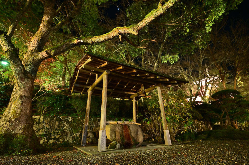 如意寺ライトアップ　手水舎