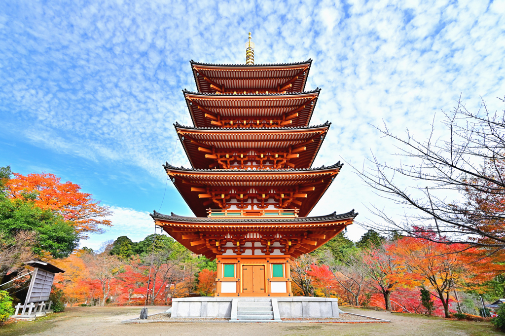 成相寺五重塔