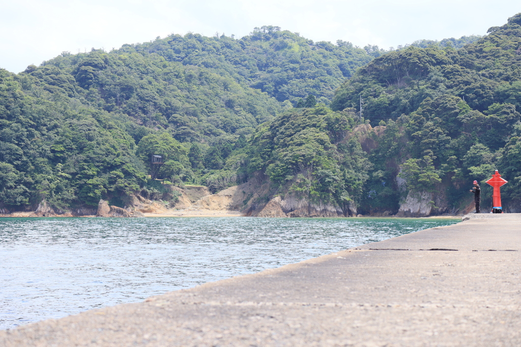 ツリーハウスを見ながらのFISHING