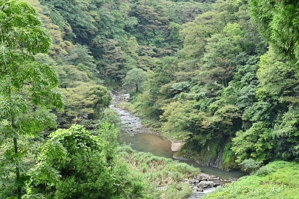 渓谷の流れ　③