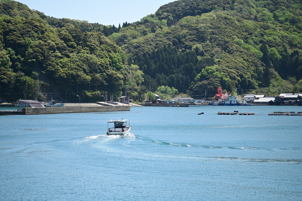 伊根湾の海上タクシー