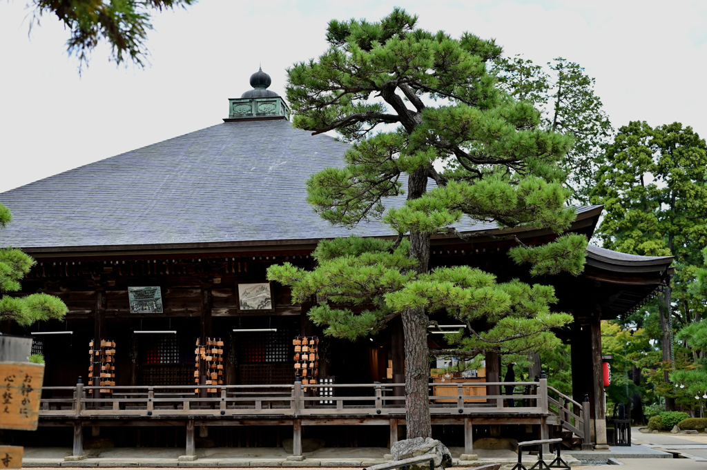 天橋立　智恩寺