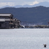 伊根散歩してきました⑤　伊根港カンジャガハナ灯台