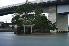 浮かぶ厳島神社