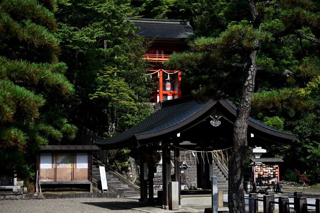 金刀比羅神社　手水舎