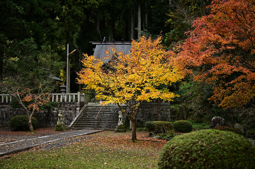 和江神社の紅葉④