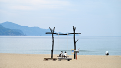 夏を待つ
