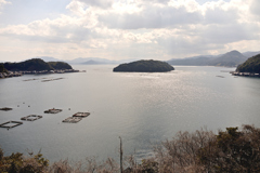伊根湾