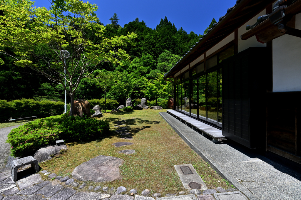 新緑の庭