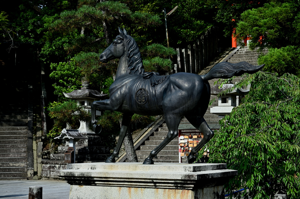 金刀比羅神社　神馬