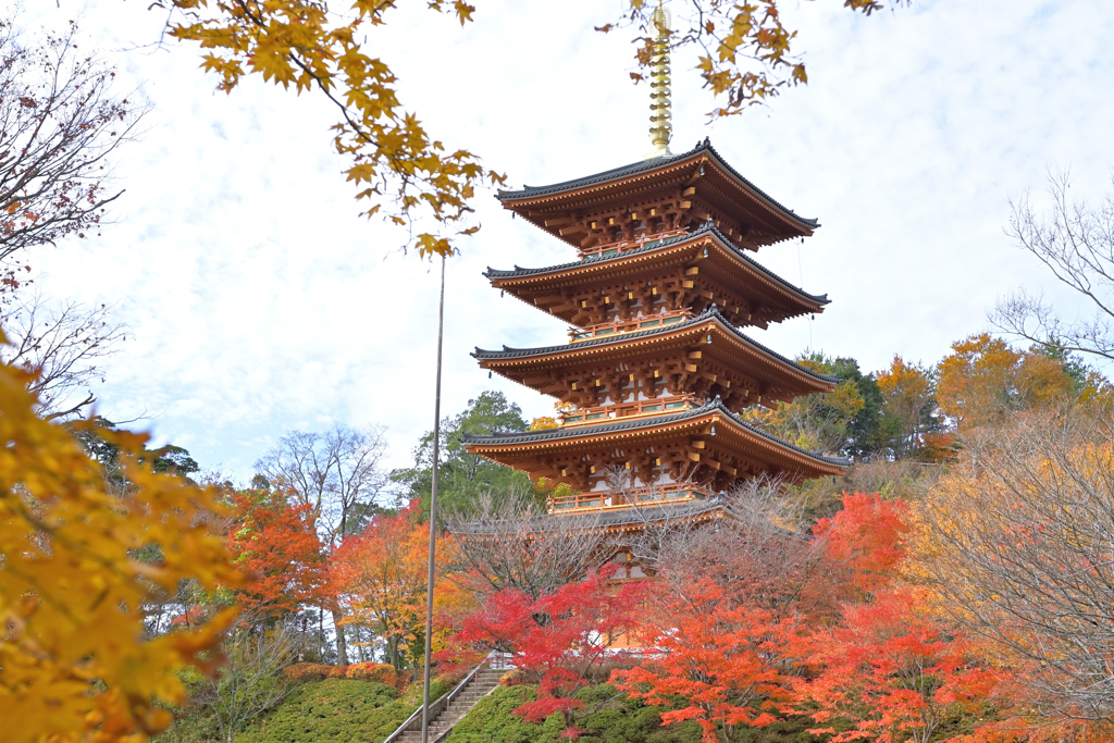 成相寺紅葉