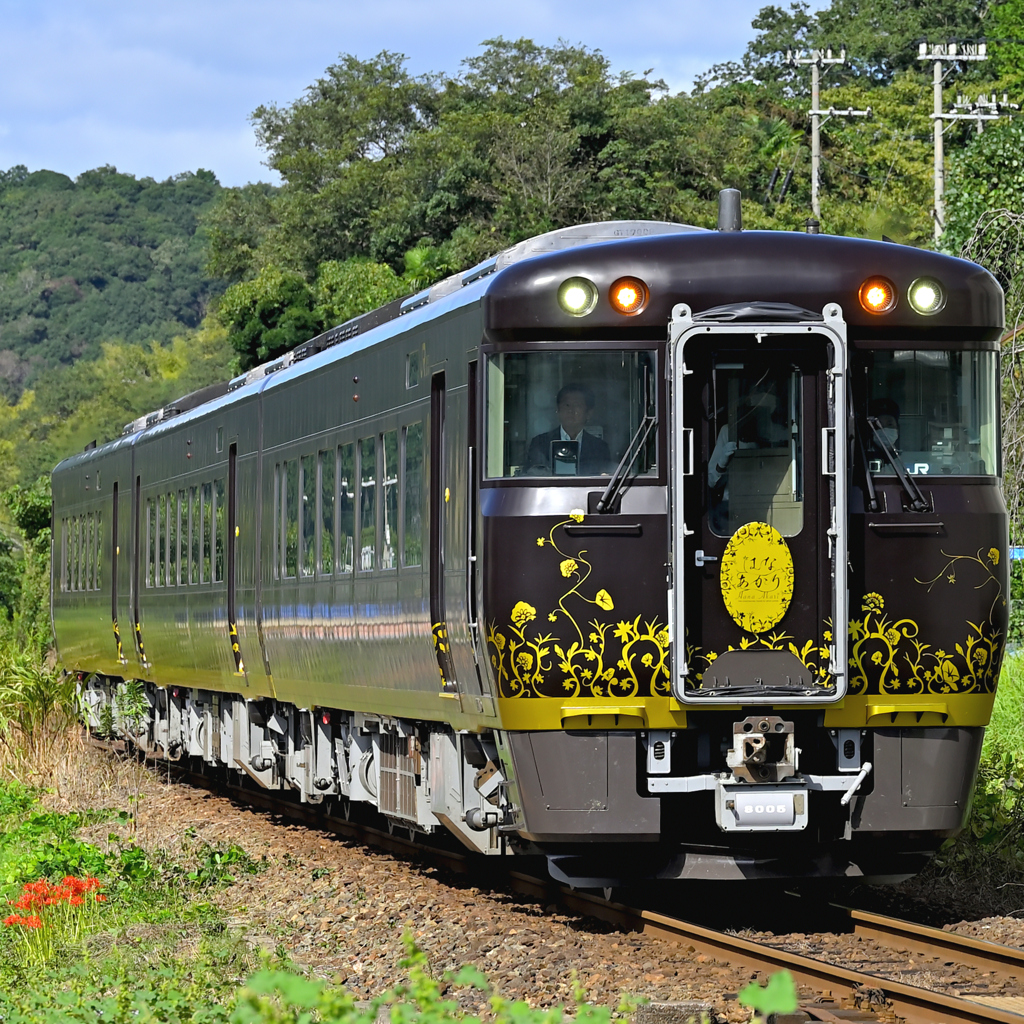 観光列車「はなあかり」運行初日