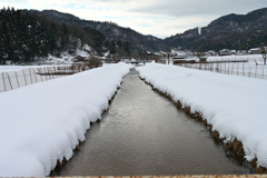 小川の雪景