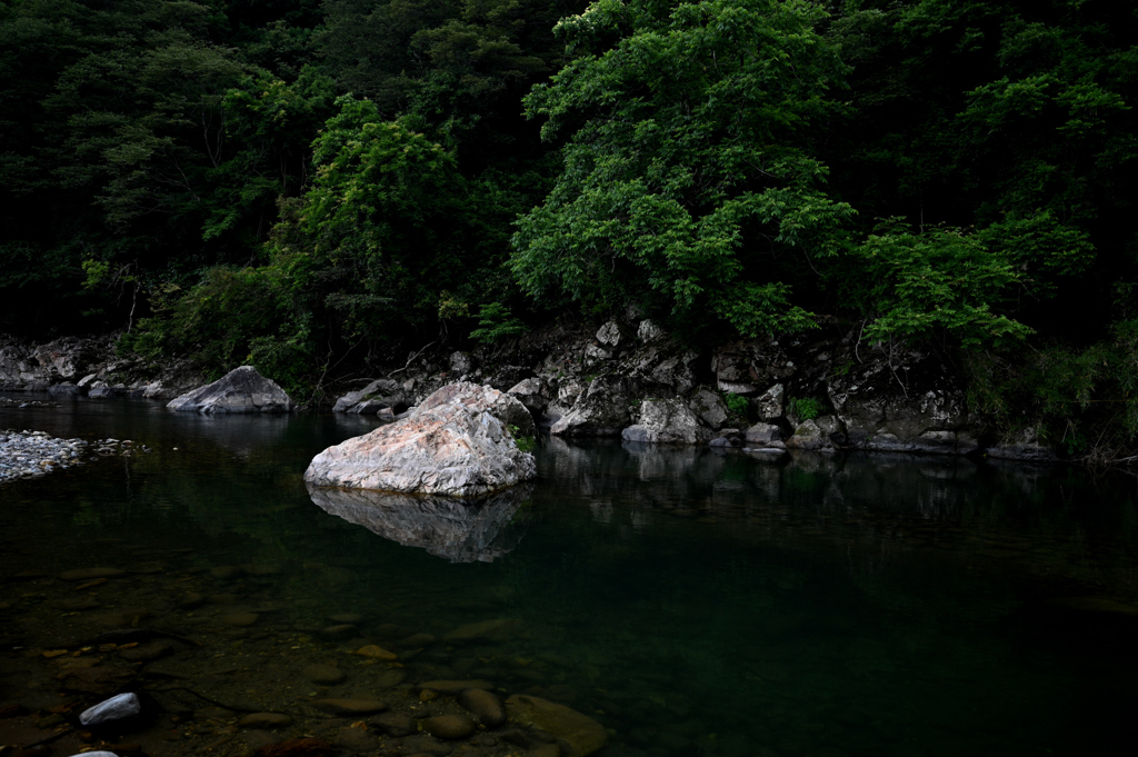 矢田川の水辺