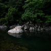 矢田川の水辺