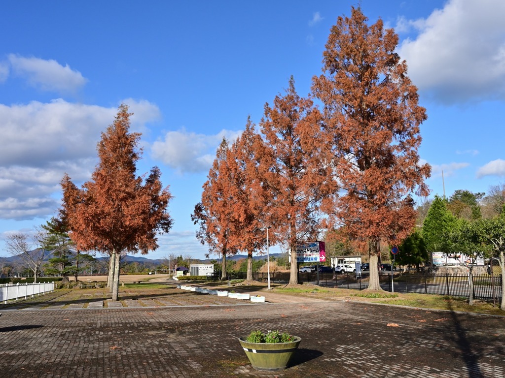 但馬空港 見学してきました。②紅葉