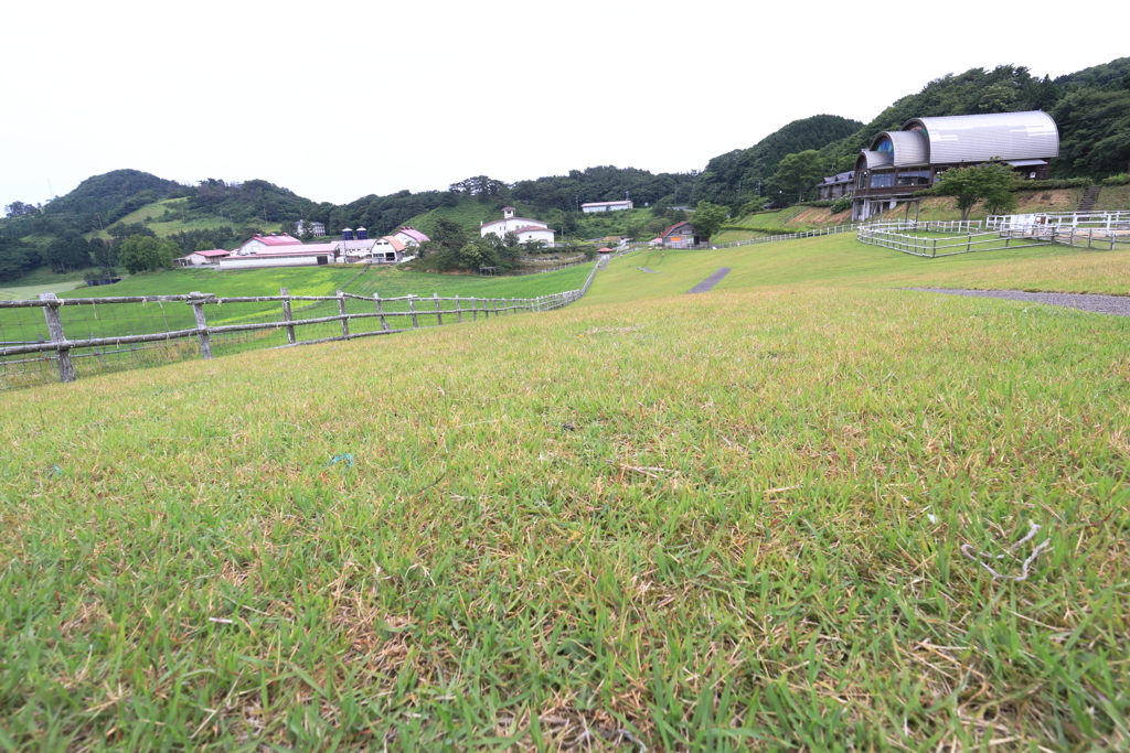 京都府「碇高原牧場」