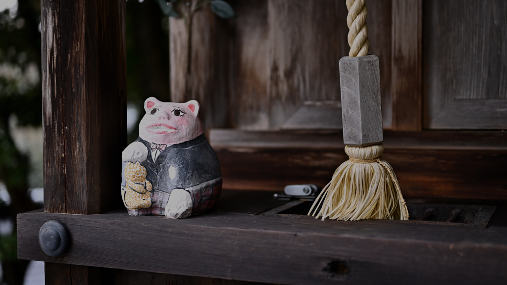 金比羅さん駒猫