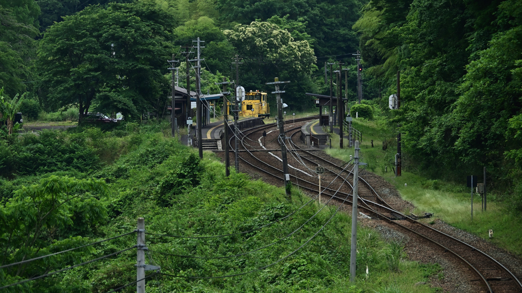 新緑の駅舎