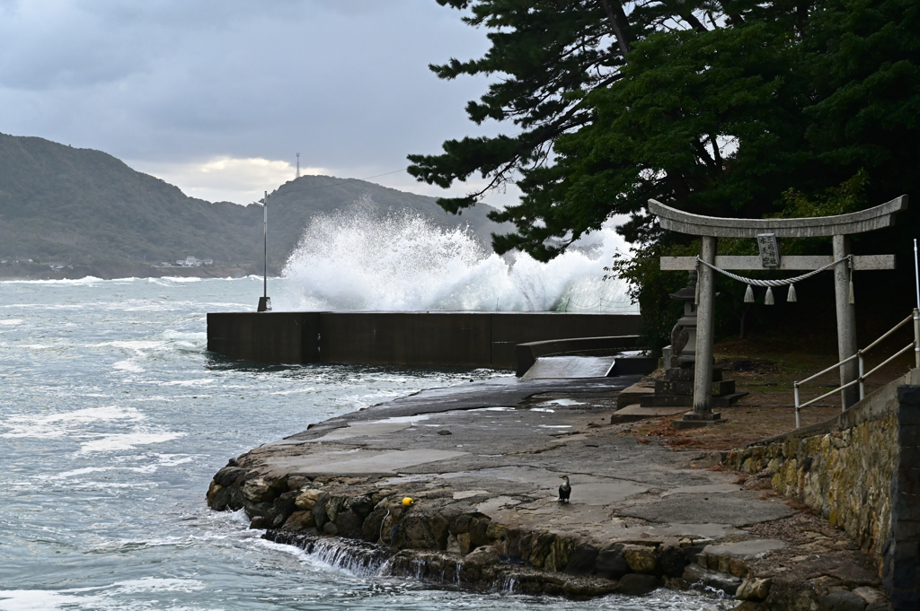 爆荒れ　城島公園