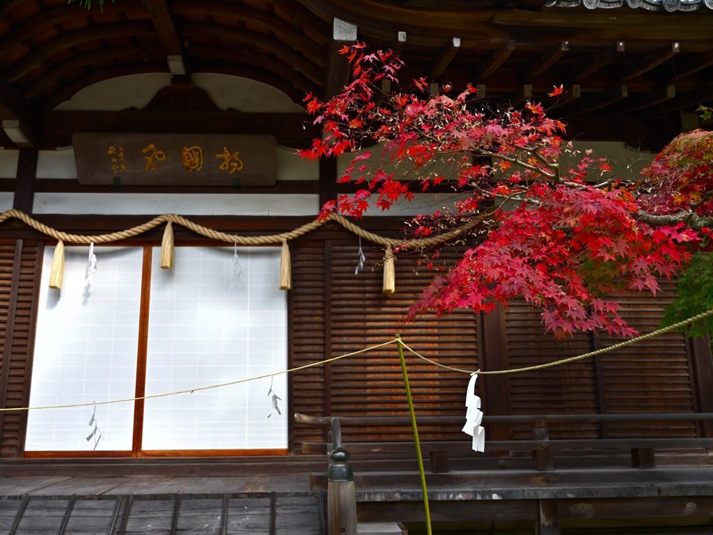 金刀比羅神社の秋　儀式殿の紅葉