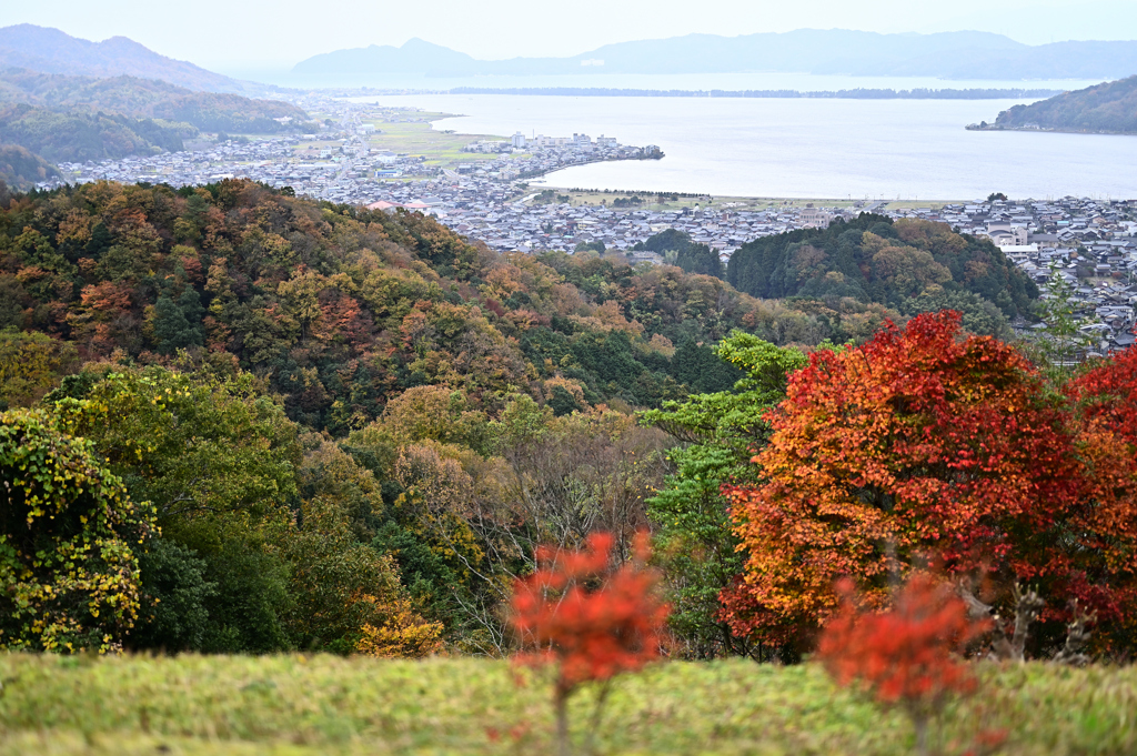 遠くに天橋立