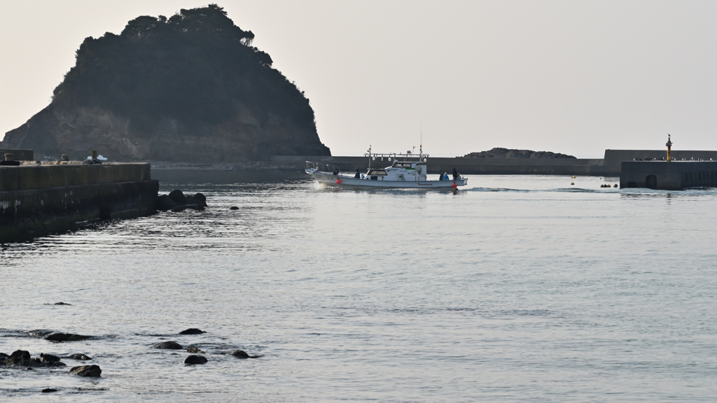 帰港