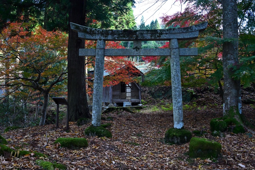 大成八幡神社②　鳥居
