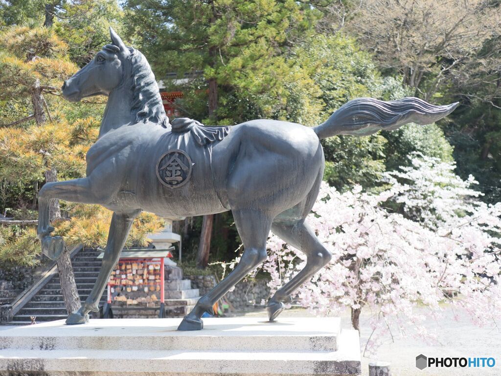 金刀比羅神社