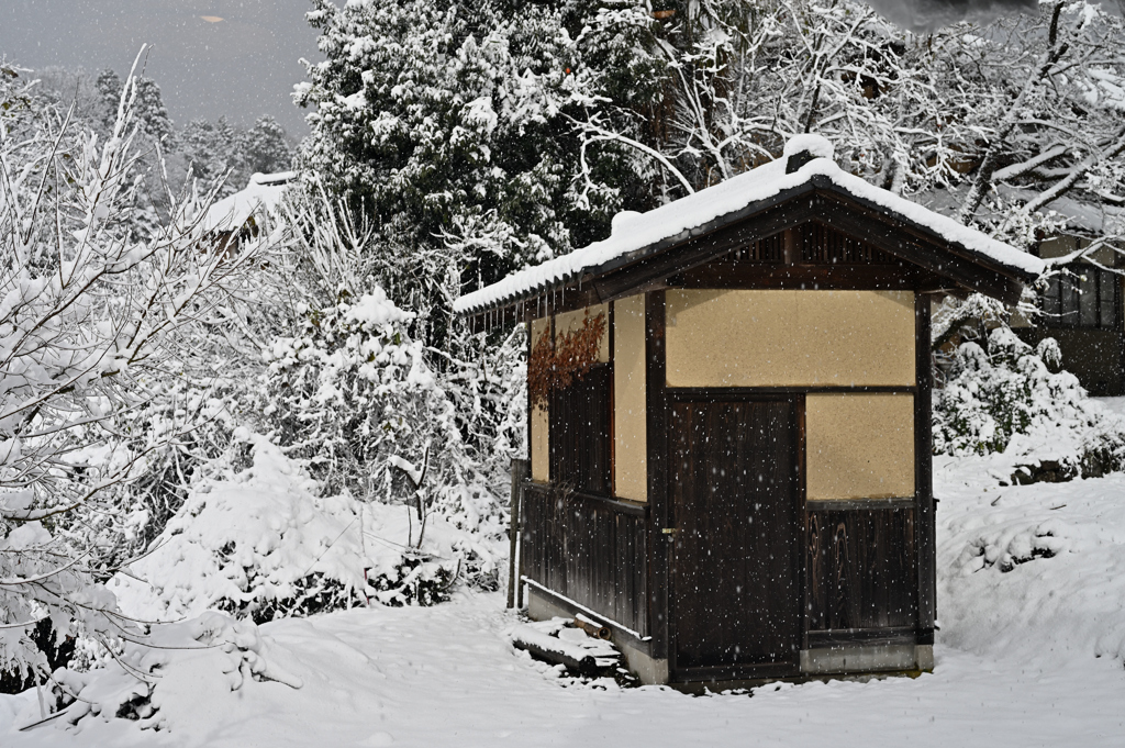 雪景色