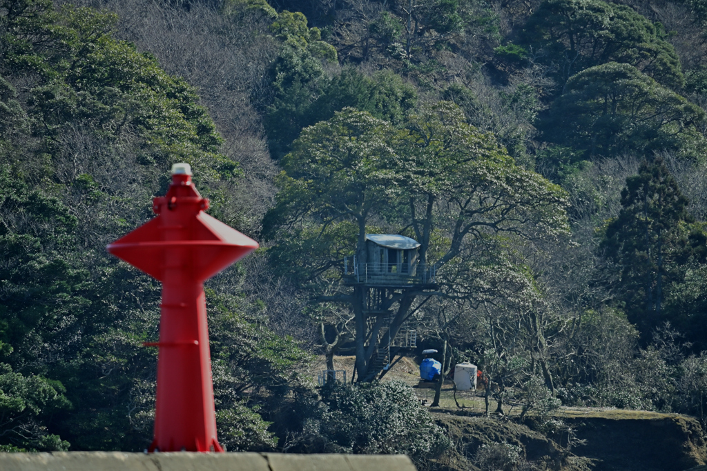 赤灯台とツリーハウス