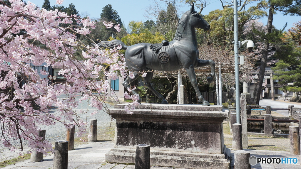 金刀比羅神社