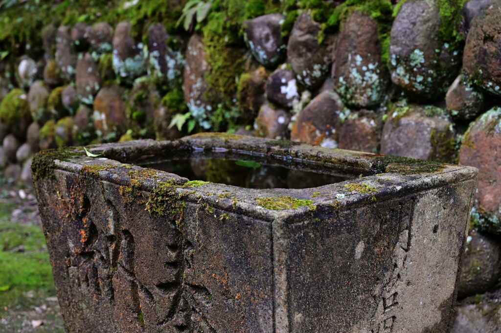 金刀比羅神社　奉納