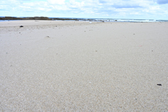 鳴き砂の浜「琴引浜」④