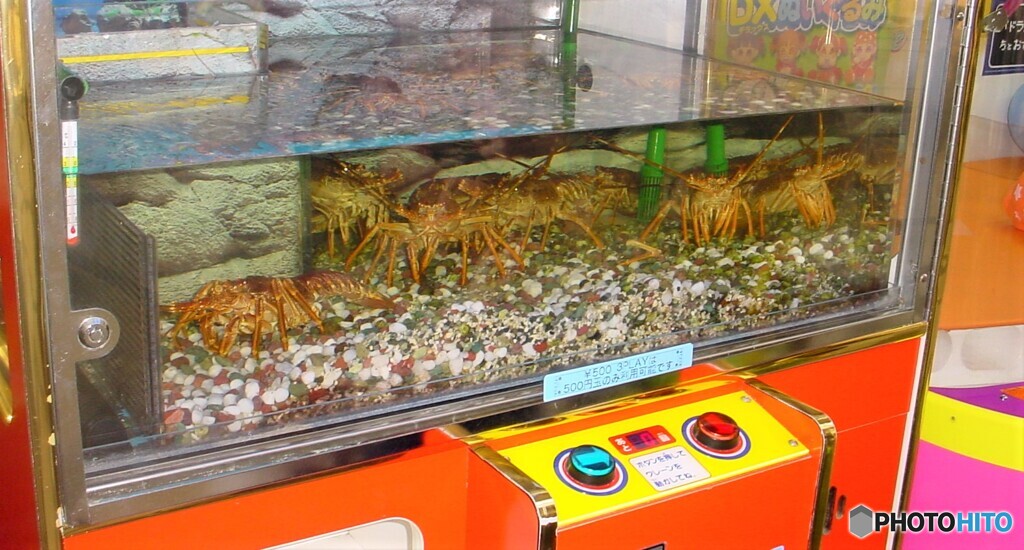 今は無き幻の名機　「伊勢海老キャッチャー」