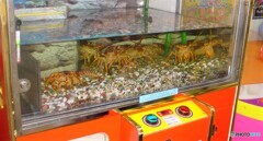 今は無き幻の名機　「伊勢海老キャッチャー」