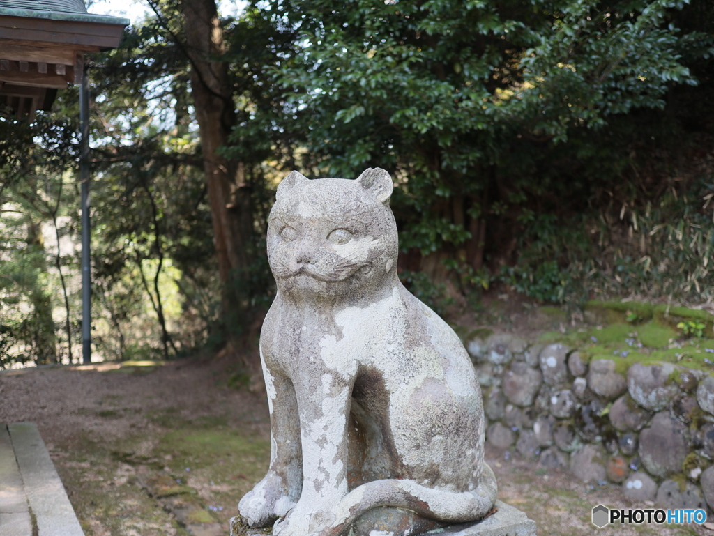 金刀比羅神社