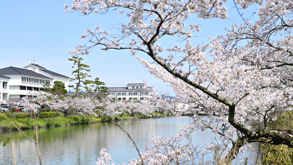 行楽日和
