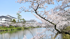 行楽日和