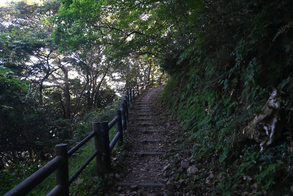 近畿自然歩道  経ヶ岬灯台のみち③