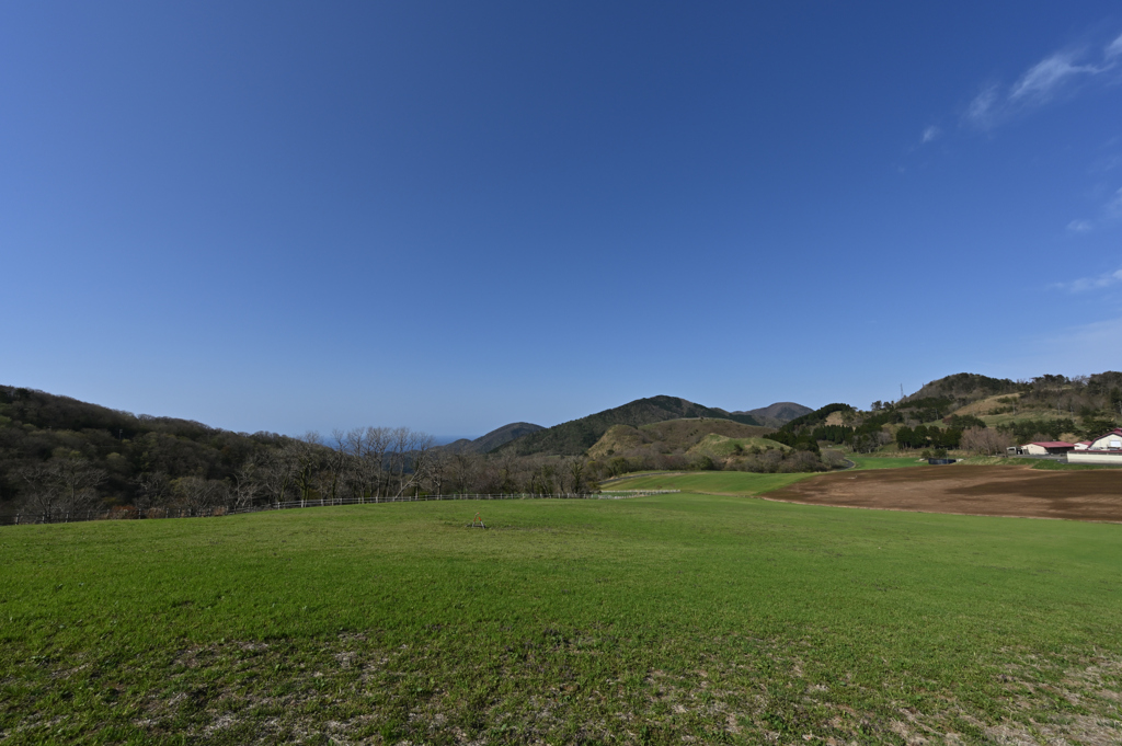 DSC_7625_00004