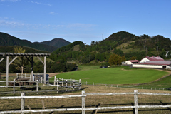 京都府碇高原牧場③