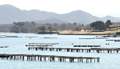 カキ棚とゴルフ場