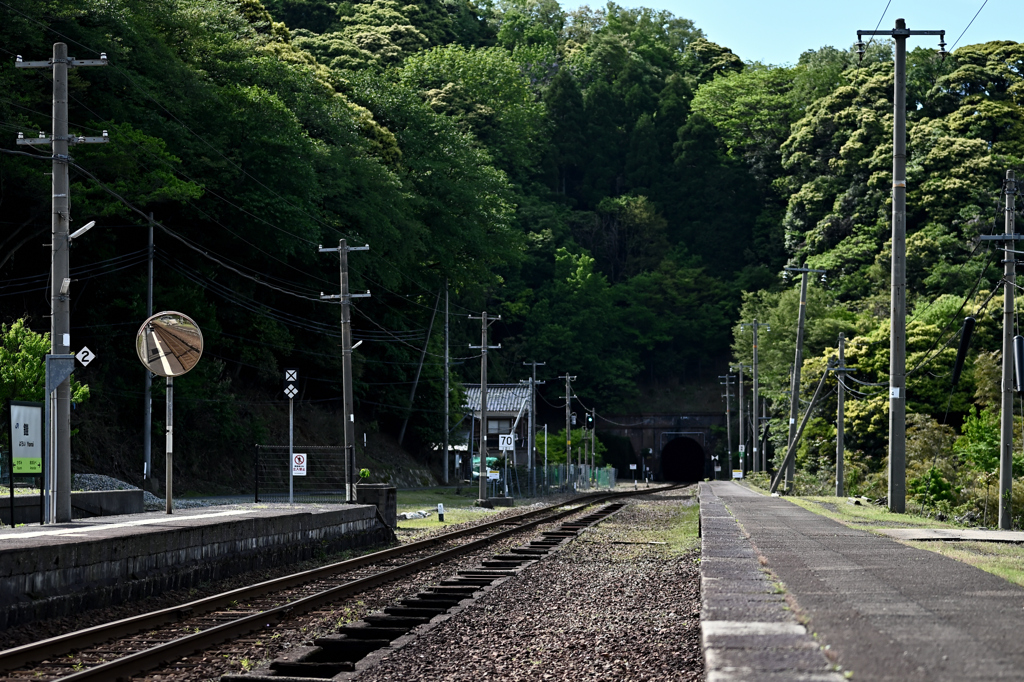 ホーム