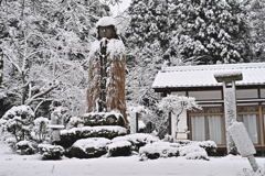 防寒着　着てて良かった