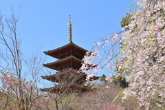成相寺 五重塔①