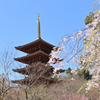 成相寺 五重塔①