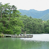 新緑に包まれたた池